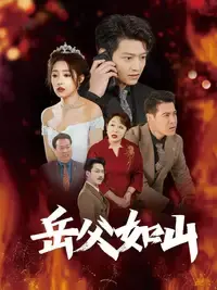 《岳父的礼物》：一场温情与幽默交织的家庭喜剧，你准备好了吗？