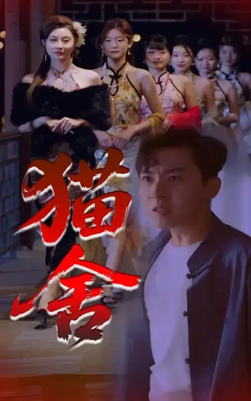 《猫舍》：那些被我们遗忘的毛茸茸天使，真实又残酷的现实写照